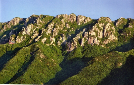 摄理教_导_大屯山_郑明析