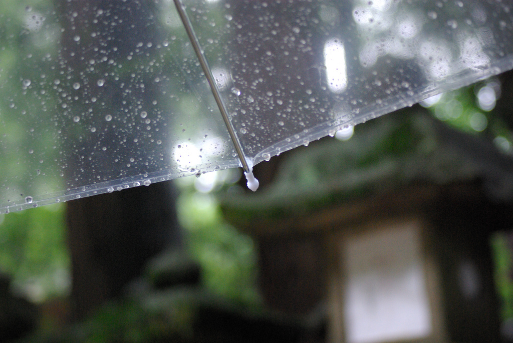 摄理教_导_风雨_郑明析_得胜